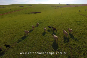 OS ARAGANOS   HERANÇAS 1984.00_01_40_01.Quadro007_a7776ead860dd36e27523a2a8f1f7796db5fd1ee.jpg